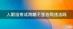 入职没有试用期不签合同违法吗