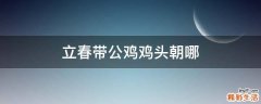 立春带公鸡鸡头朝哪