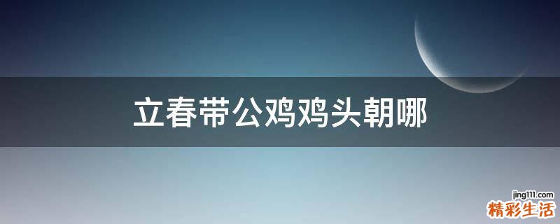 立春带公鸡鸡头朝哪