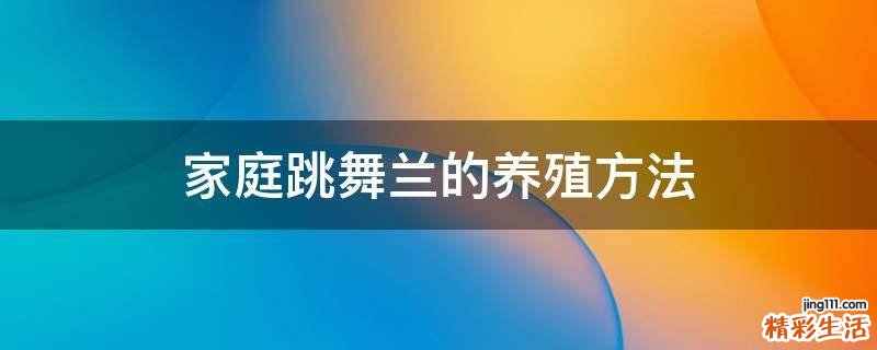 家庭跳舞兰的养殖方法