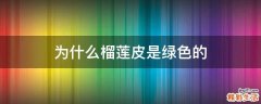 为什么榴莲皮是绿色的