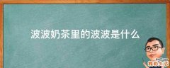 波波奶茶里的波波是什么