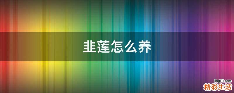 韭莲怎么养