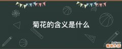 菊花的含义是什么