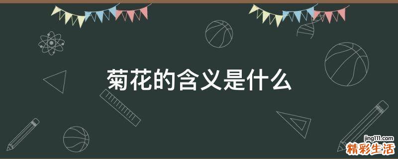 菊花的含义是什么