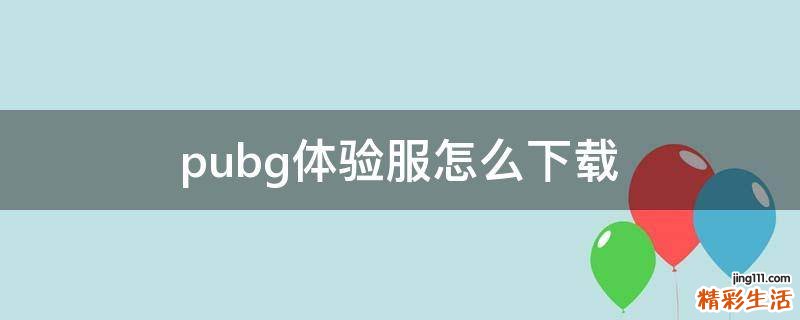 pubg体验服怎么下载