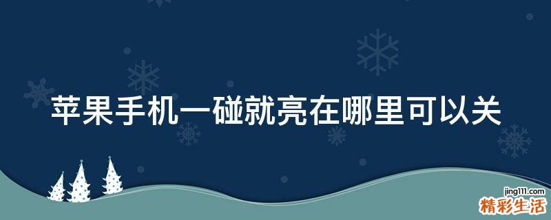 苹果手机一碰就亮在哪里可以关