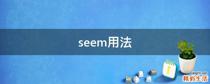 seem用法