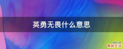 英勇无畏什么意思
