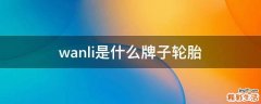 wanli是什么牌子轮胎