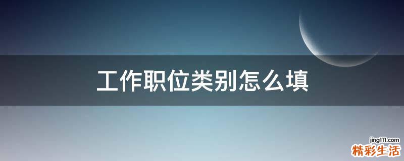 工作职位类别怎么填