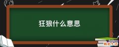 狂狼什么意思