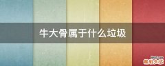 牛大骨属于什么垃圾