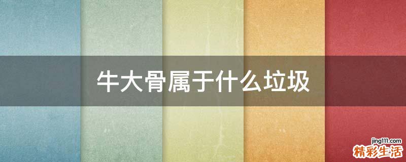 牛大骨属于什么垃圾