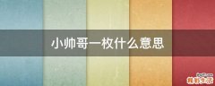 小帅哥一枚什么意思