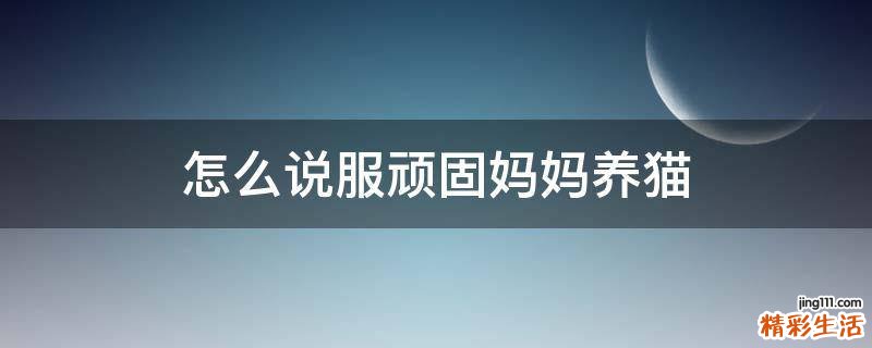 怎么说服顽固妈妈养猫