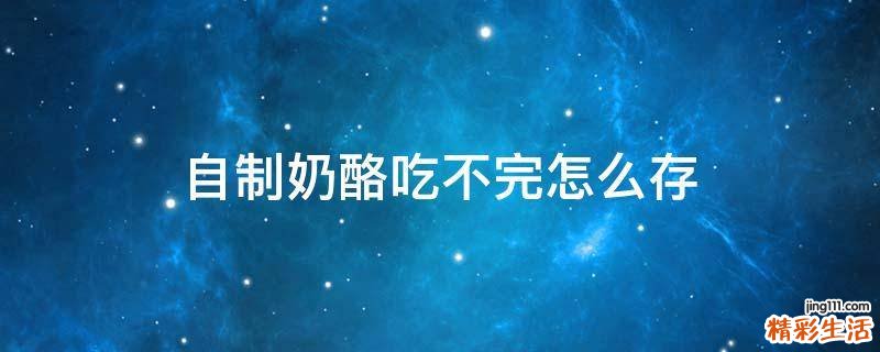 自制奶酪吃不完怎么存