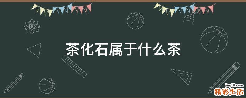 茶化石属于什么茶
