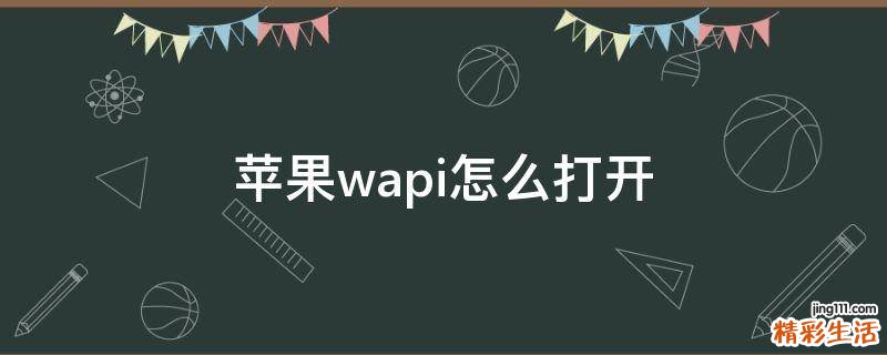 苹果wapi怎么打开