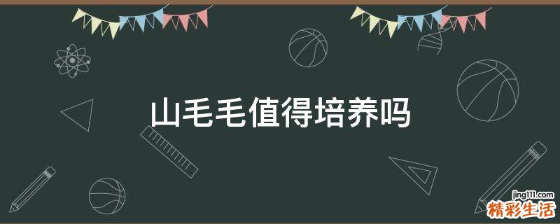 山毛毛值得培养吗