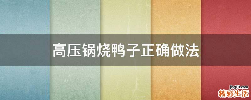 高压锅烧鸭子正确做法