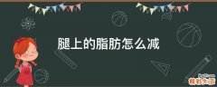 腿上的脂肪怎么减