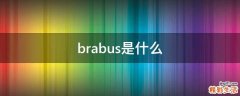 brabus是什么