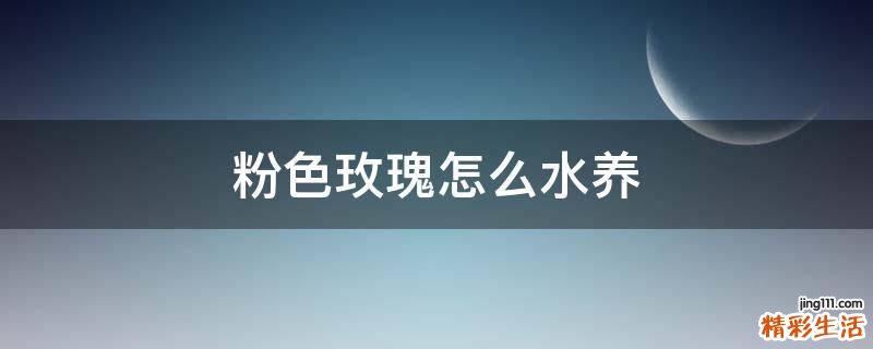 粉色玫瑰怎么水養(yǎng)