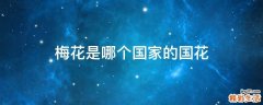 梅花是哪个国家的国花