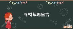 枣树栽哪里吉