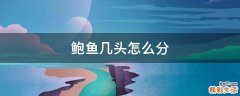 鲍鱼几头怎么分