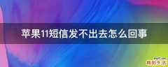 苹果11短信发不出去怎么回事