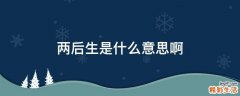 两后生是什么意思啊