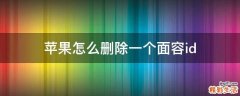 苹果怎么删除一个面容id