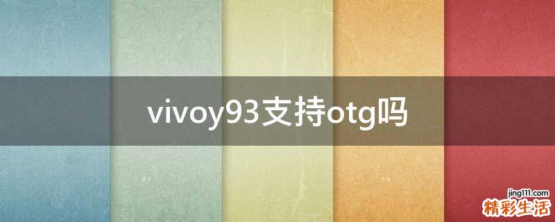vivoy93支持otg吗