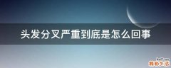 头发分叉严重到底是怎么回事