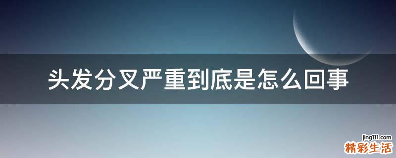头发分叉严重到底是怎么回事