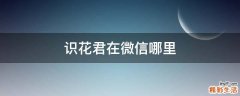 识花君在微信哪里