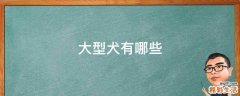 大型犬有哪些
