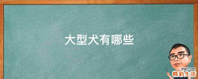 大型犬有哪些