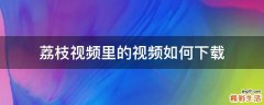 荔枝视频里的视频如何下载