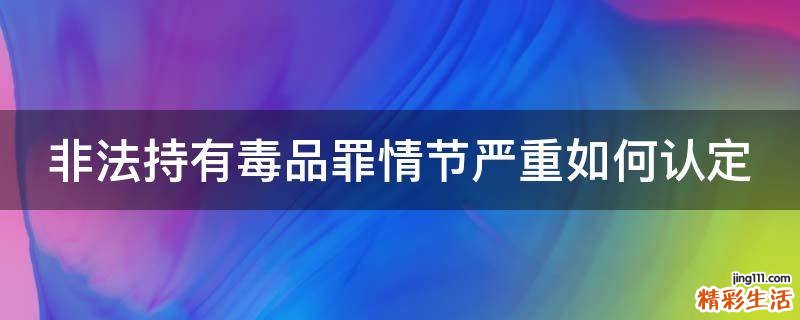 非法持有毒品罪情节严重如何认定