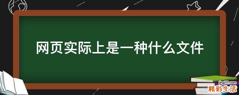 网页实际上是一种什么文件