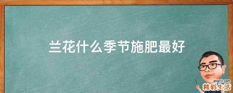 兰花什么季节施肥最好