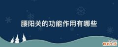 腰阳关的功能作用有哪些