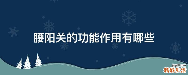 腰阳关的功能作用有哪些