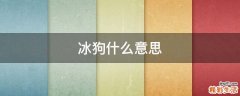 冰狗什么意思