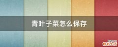 青叶子菜怎么保存