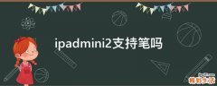 ipadmini2支持笔吗