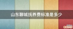 山东聊城抚养费标准是多少